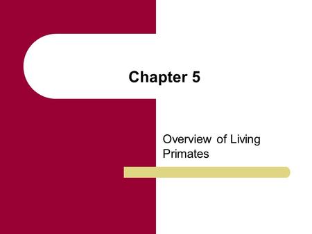 Chapter 5 Overview of Living Primates. Chapter Outline Primates as Mammals Characteristics of Primates Primate Adaptations Survey of the Living Primates.