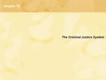 Chapter 14 The Criminal Justice System.