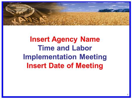 11 Insert Agency Name Time and Labor Implementation Meeting Insert Date of Meeting.