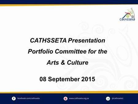 CATHSSETA Presentation Portfolio Committee for the Arts & Culture 08 September 2015.