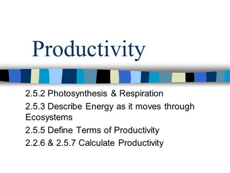 Productivity Photosynthesis & Respiration