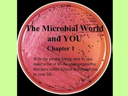The Microbial World and YOU Chapter 1 With the person sitting next to you, make a list of all the microorganisms that have either helped or harmed you.