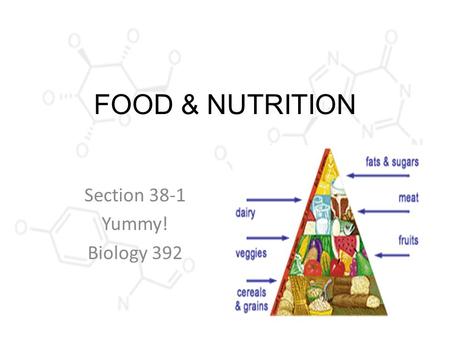 FOOD & NUTRITION Section 38-1 Yummy! Biology 392.