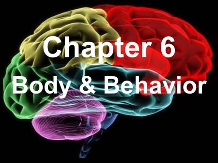 Chapter 6 Body & Behavior.