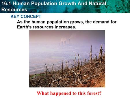 16.1 Human Population Growth And Natural Resources KEY CONCEPT As the human population grows, the demand for Earth’s resources increases. What happened.