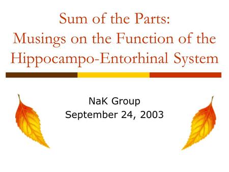 Sum of the Parts: Musings on the Function of the Hippocampo-Entorhinal System NaK Group September 24, 2003.