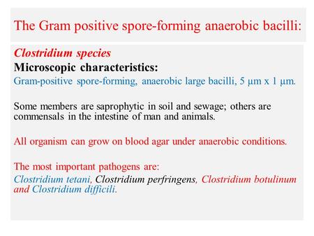 The Gram positive spore-forming anaerobic bacilli: