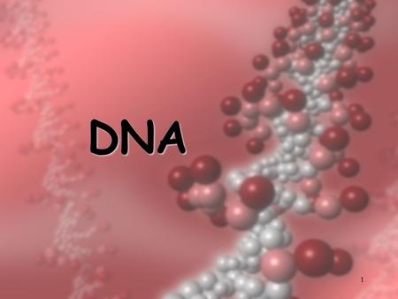 1 DNA. 2 DNA  Deoxyribonucleic acid  found in the nucleus of every cell  DNA and proteins make up chromosomes – contain traits  sections of it make.