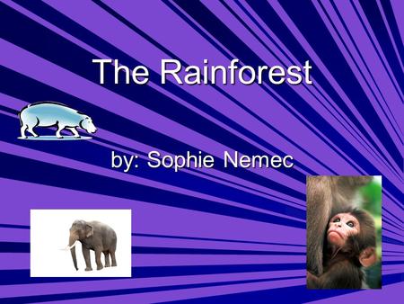 The Rainforest by: Sophie Nemec. What is causing the rainforests of Africa to disappear? What percent of the rainforests are already gone?  Logging Companies.