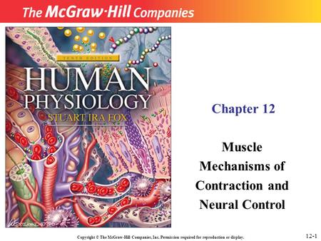 Copyright © The McGraw-Hill Companies, Inc. Permission required for reproduction or display. Chapter 12 Muscle Mechanisms of Contraction and Neural Control.