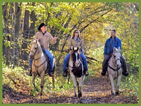 Ready to Ride Continuing an active lifestyle with horses after an arthritis diagnosis Amber Wolfe AgrAbility Project Coordinator Arthritis Foundation.