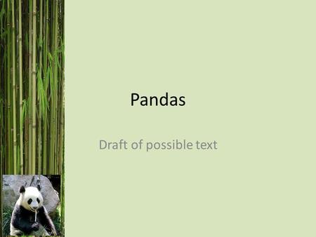 Pandas Draft of possible text. Welcome to Chinese Class! What is your name? My name is…..