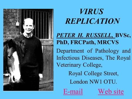 VIRUS REPLICATION PETER H. RUSSELL, BVSc, PhD, FRCPath, MRCVS Department of Pathology and Infectious Diseases, The Royal Veterinary College, Royal College.