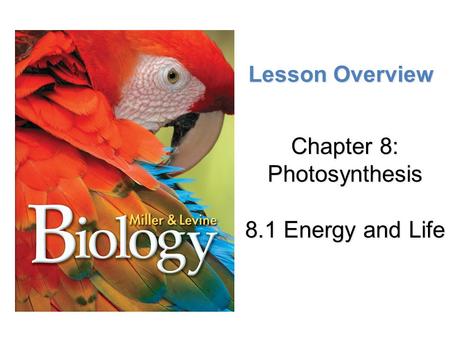 Chapter 8: Photosynthesis 8.1 Energy and Life
