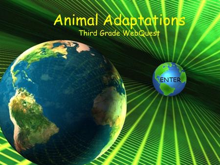 Animal Adaptations Third Grade WebQuest