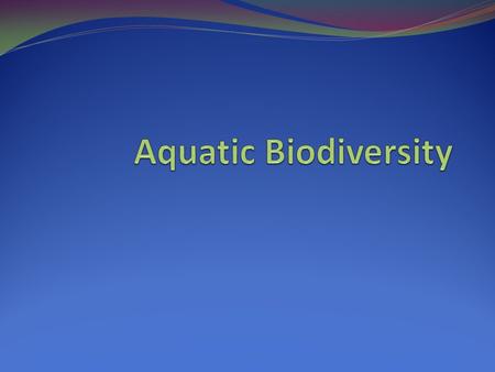 Question for Today What are the different niches that organisms can occupy in an aquatic ecosystem? How are marine ecosystems organized? How are freshwater.