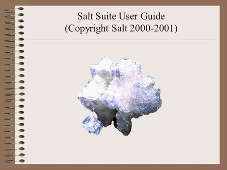 Salt Suite User Guide (Copyright Salt 2000-2001).