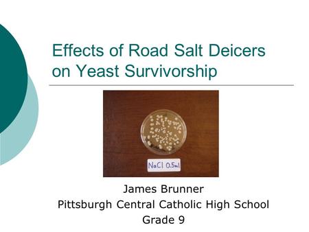 Effects of Road Salt Deicers on Yeast Survivorship James Brunner Pittsburgh Central Catholic High School Grade 9.