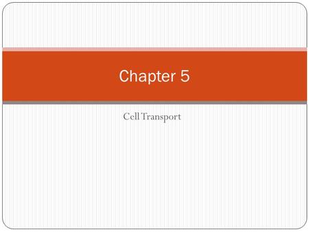 Cell Transport Chapter 5. In the passive transport of materials A. cells must use energy when materials enter the cell. B. cells use energy when materials.