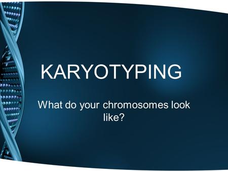 KARYOTYPING What do your chromosomes look like?. Karyotype Cell treated with chemical to stop in metaphase Chromosomes stained Picture taken Enlarged.