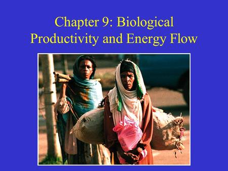 Chapter 9: Biological Productivity and Energy Flow.