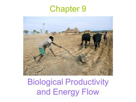 Chapter 9 Biological Productivity and Energy Flow.