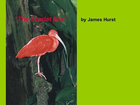 “The Scarlet Ibis” by James Hurst. Pre-Reading Journal: Think about the colors red and scarlet. Write down all of the things you associate with these.