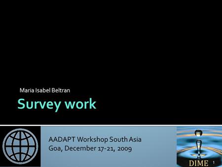 AADAPT Workshop South Asia Goa, December 17-21, 2009 Maria Isabel Beltran 1.
