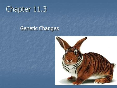 Chapter 11.3 Genetic Changes.