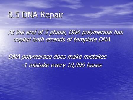 8.5 DNA Repair At the end of S phase, DNA polymerase has copied both strands of template DNA DNA polymerase does make mistakes -1 mistake every 10,000.