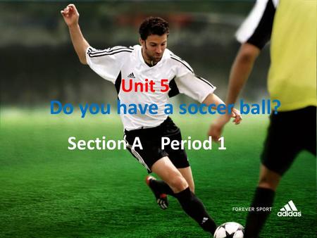 Unit 5 Do you have a soccer ball? Section A Period 1.