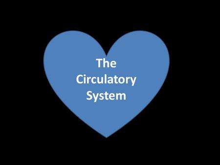 The Circulatory System. Open circulatory system “Blood” is emptied into the body cavity.