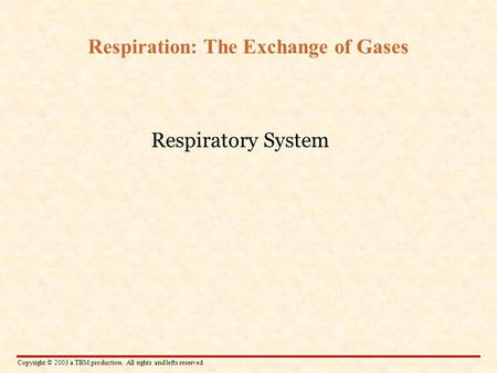 Copyright © 2003 a TBM production. All rights and lefts reserved Respiration: The Exchange of Gases Respiratory System.