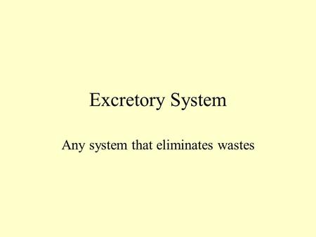 Excretory System Any system that eliminates wastes.