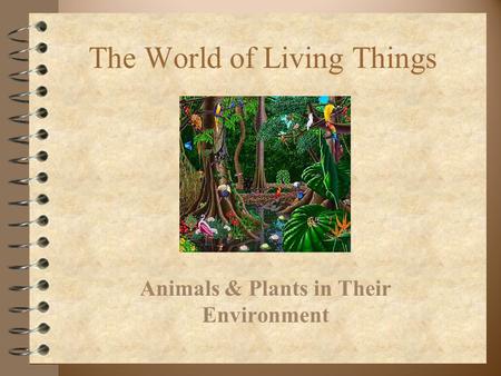 The World of Living Things Animals & Plants in Their Environment.