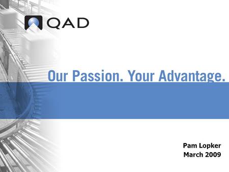 Pam Lopker March 2009. QAD Proprietary Op Budget ROI Efficiency Training.