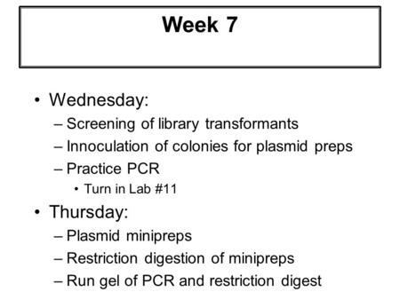 Week 7 Wednesday: –Screening of library transformants –Innoculation of colonies for plasmid preps –Practice PCR Turn in Lab #11 Thursday: –Plasmid minipreps.