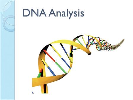 DNA Analysis. What is DNA? Deoxyribonucleic Acid Genes found on a chromosome are composed of DNA DNA contains all of our body’s genetic material.