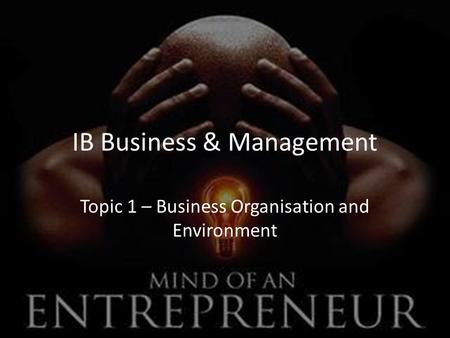 IB Business & Management Topic 1 – Business Organisation and Environment.