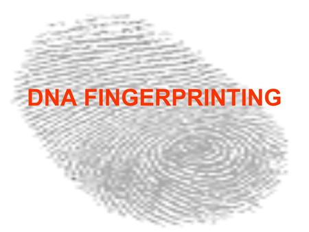 DNA FINGERPRINTING. 1.What do you think DNA fingerprinting is? 2. What do you think DNA fingerprinting can be used for?