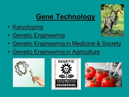 Gene Technology Karyotyping Genetic Engineering