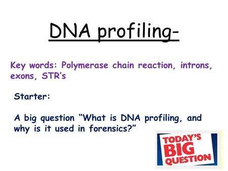 DNA profiling- Key words: Polymerase chain reaction, introns, exons, STR’s Starter: A big question “What is DNA profiling, and why is it used in forensics?”