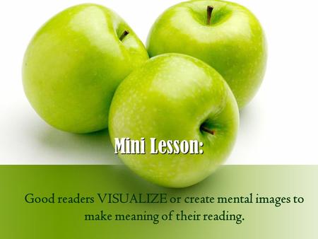Mini Lesson: Good readers VISUALIZE or create mental images to make meaning of their reading.