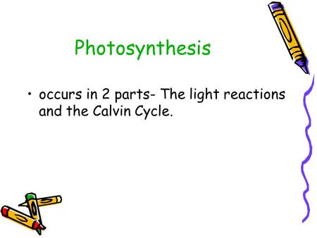 Photosynthesis occurs in 2 parts- The light reactions and the Calvin Cycle.