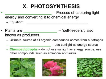 X. PHOTOSYNTHESIS ____________________________________________ – Process of capturing light energy and converting it to chemical energy –Equation: __________________________________.