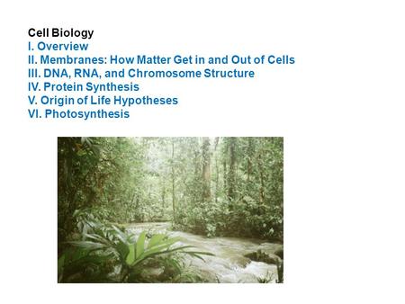 Cell Biology I. Overview II. Membranes: How Matter Get in and Out of Cells III. DNA, RNA, and Chromosome Structure IV. Protein Synthesis V. Origin of Life.