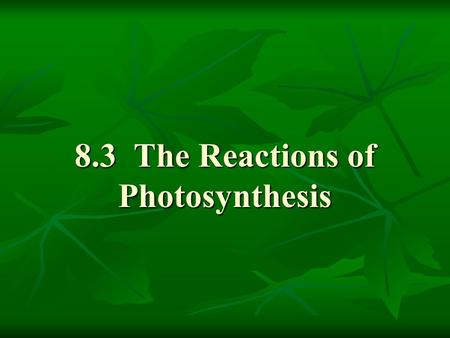 8.3 The Reactions of Photosynthesis