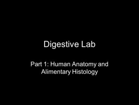 Digestive Lab Part 1: Human Anatomy and Alimentary Histology.