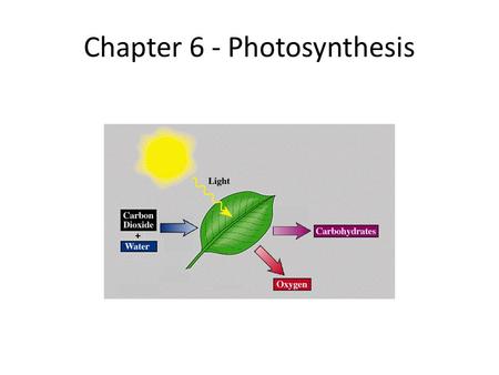 Chapter 6 - Photosynthesis. Photosynthesis Song I.Capturing the Energy in Light A. Biochemical Pathway – a series of chemical reactions in which the.