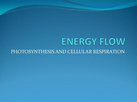 PHOTOSYNTHESIS AND CELLULAR RESPIRATION. Energy Flow Light from the sun is our ultimate source of energy Autotrophs take energy from the sun and turn.